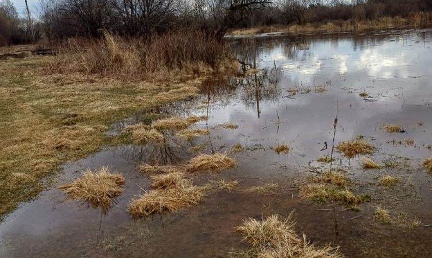 вода подбирается к домам: в амурских селах подтоплены улицы и приусадебные участки
